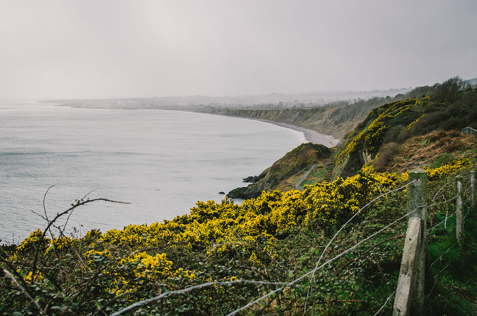 Bray Cliffwalk