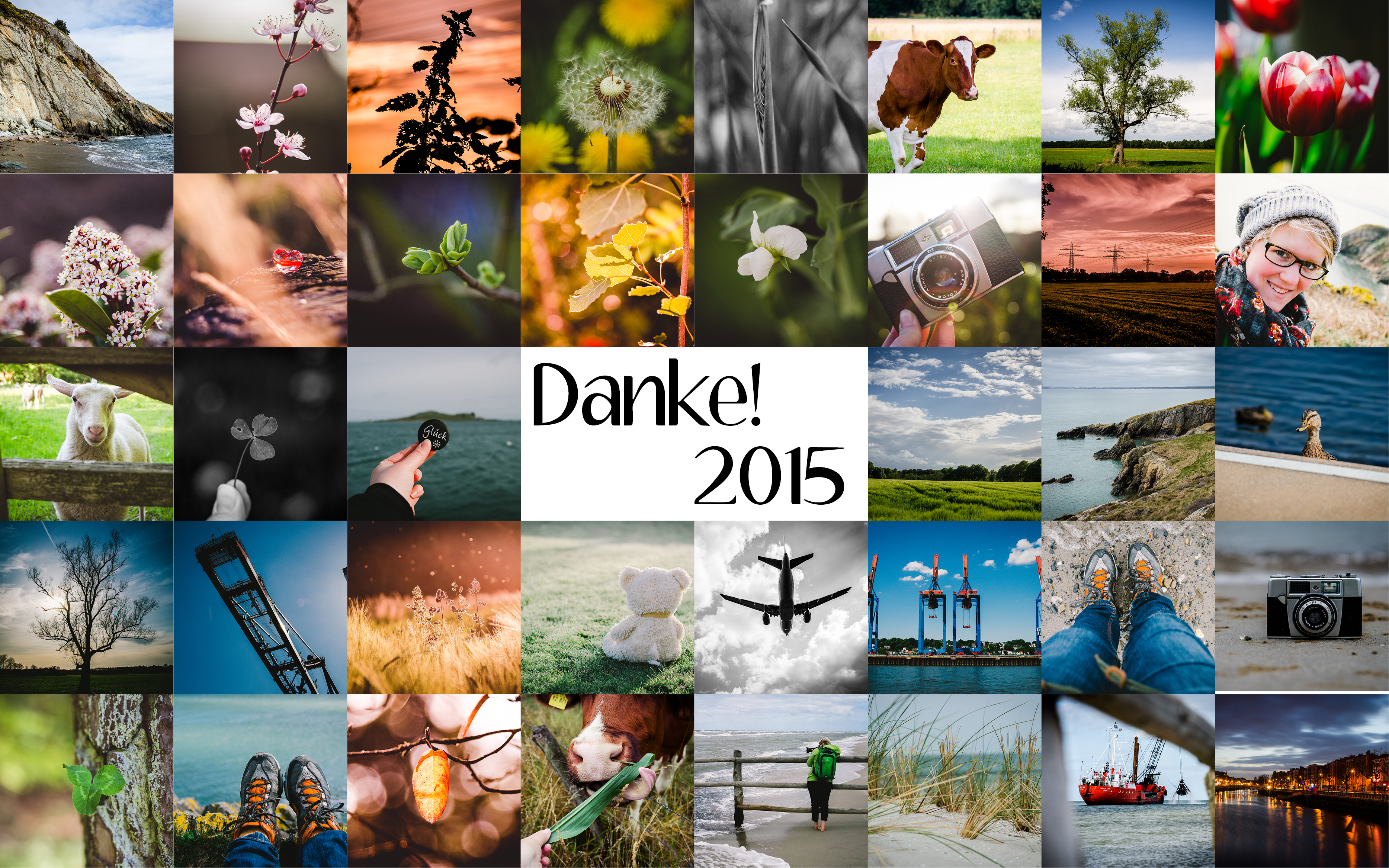 Danke 2015